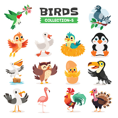 Set Of Various Cartoon Birds