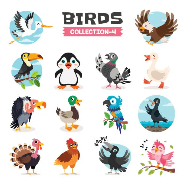 Vector illustration of Set Of Various Cartoon Birds