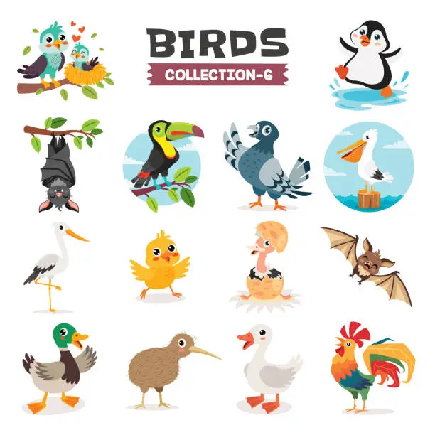 Vector illustration of Set Of Various Cartoon Birds
