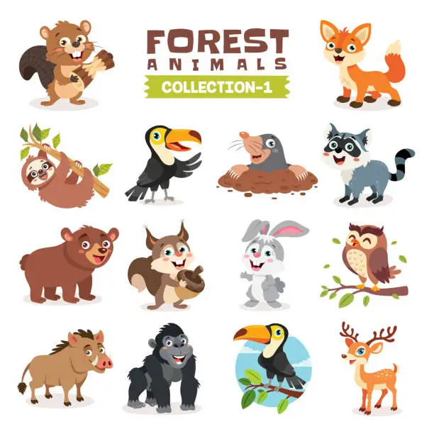 Vector illustration of Set Of Various Forest Animals