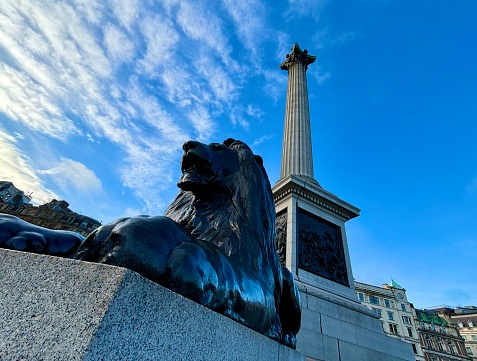 entrance lion by the spets of the new york public library