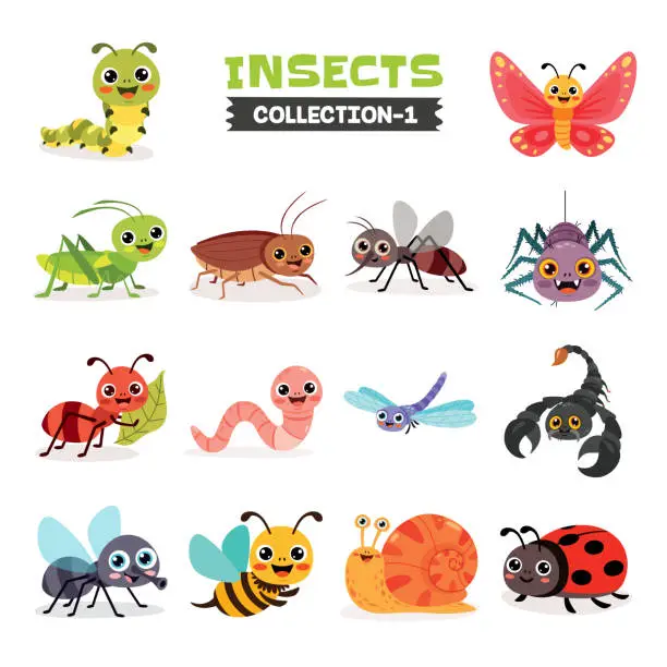 Vector illustration of Set Of Various Cartoon Insects