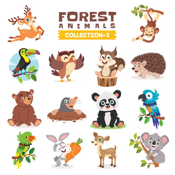 Vector illustration of Set Of Various Forest Animals