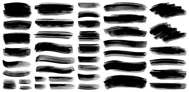 Vector illustration of Paint brush strokes