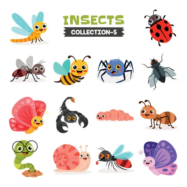 Vector illustration of Set Of Various Cartoon Insects