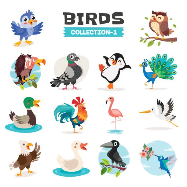 Vector illustration of Set Of Various Cartoon Birds