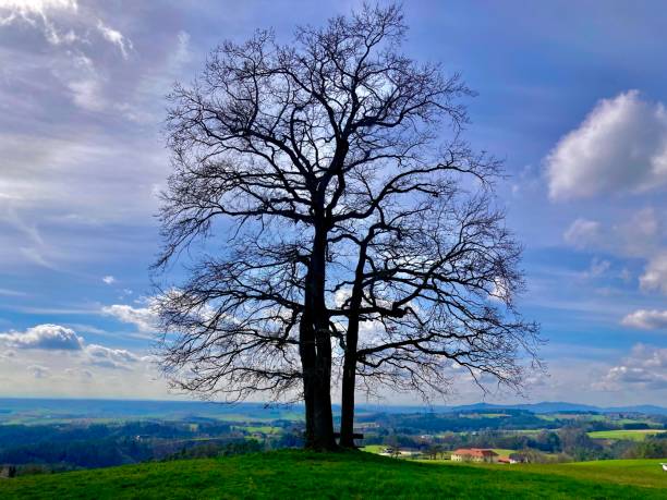 Hiking in springtime with pleasure – Foto