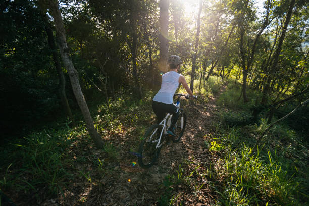 istock Mountain biking in summer forest 2093361944