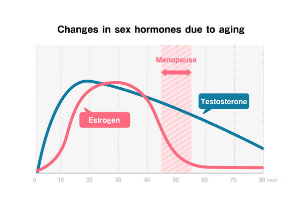 istock Graph of changes in sex hormones (estrogen and testosterone) due to aging 2093364590