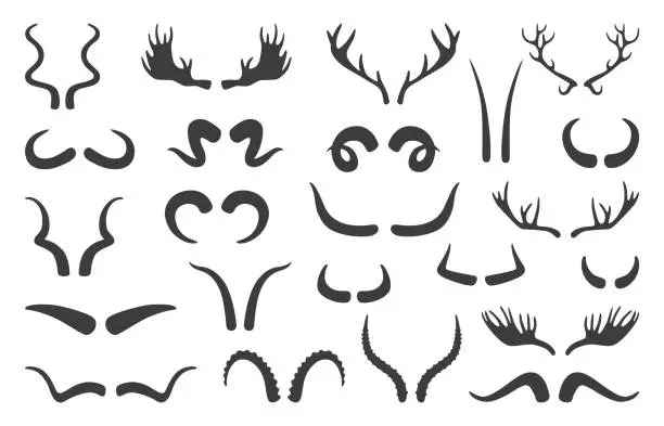 Vector illustration of Antlers silhouettes. Black horns, deer, moose, ram, antelope elements. Horned mammals hunting trophy, wildlife animal horn neoteric vector set