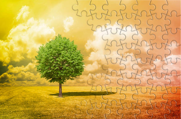 istock Lone tree in a green meadow - environmental conservation concept in jigsaw puzzle shape 2093412367