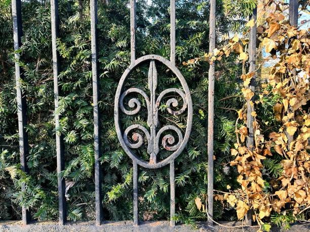 istock Antique iron fence, Berlin 2093413926