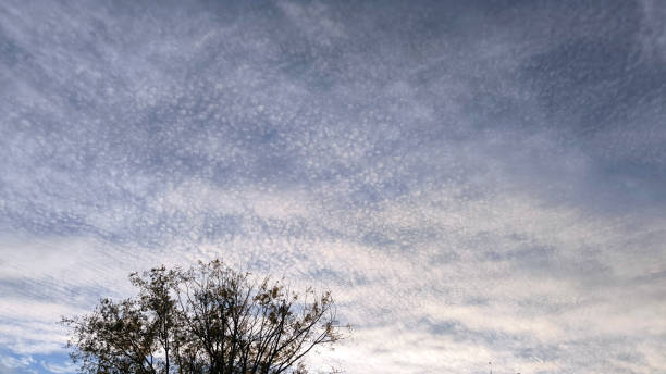 istock sky with tracks after the airplane 2093419226