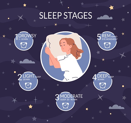 Sleep stages. Sleeping cycle routine science infographic, stage healthy natural properly rest rem phase night deep dream concept sleeped woman cartoon character vector illustration of cycle sleep