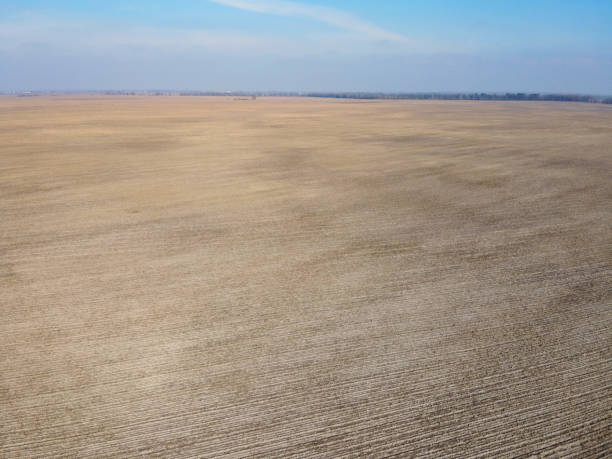 istock Agricultural fields on a sunny spring day, aerial view. Landscape. Blue sky over the fields. 2093425050