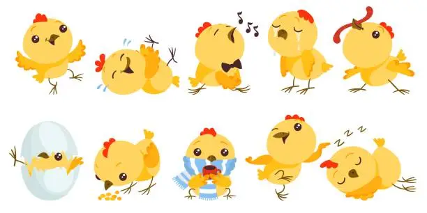 Vector illustration of Cartoon baby chicken. Funny little birds. Easter character. Chick hatched from egg. Yellow mascot with different emotions. Sleeping or playing birdie. Domestic animal. Splendid vector set