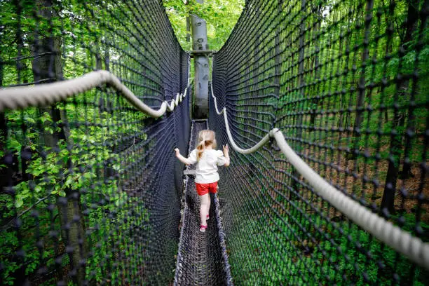Cute little preschool girl walking on high tree-canopy trail with wooden walkway and ropeways on Hoherodskopf in Germany. Happy active child exploring treetop path. activity for families outdoors.