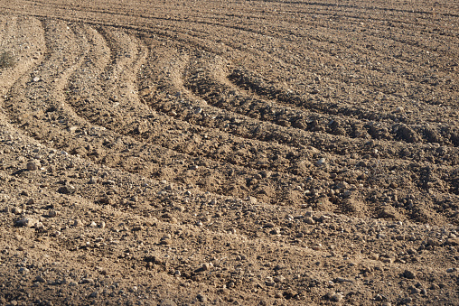 Texture of a plowed field, Zaragoza Province, Aragon, Spain.