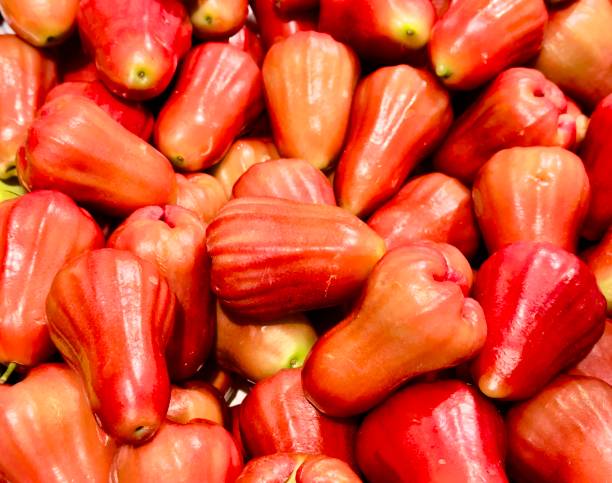 istock Ripe, beautifully colored rose apples. 2093472692