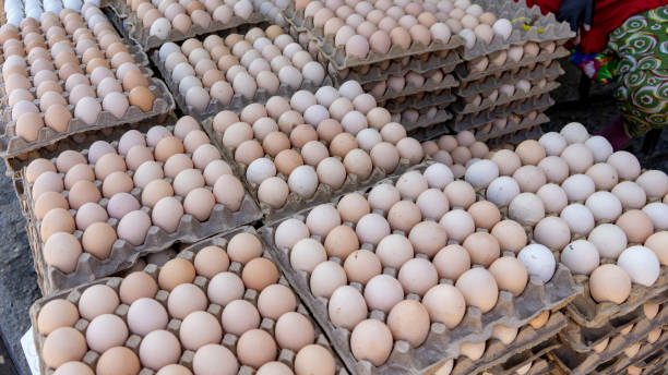 istock a roadside egg shop with a lot of eggs 2093485290