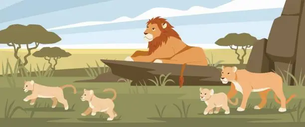 Vector illustration of Lion family in savannah. Cubs and lioness resting, wild animals pride, feline family strong predators, king of beasts, Africa panorama cartoon flat isolated illustration, tidy vector concept