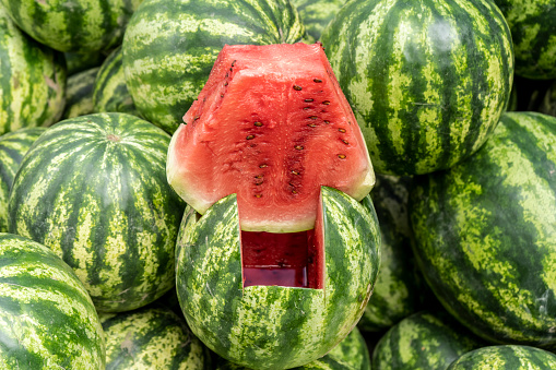 watermelon in a decorative display