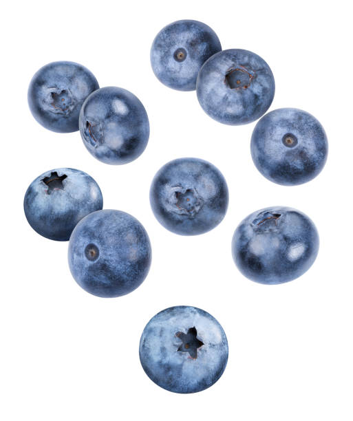 istock Organic fresh blueberry isolated on white 2093507075
