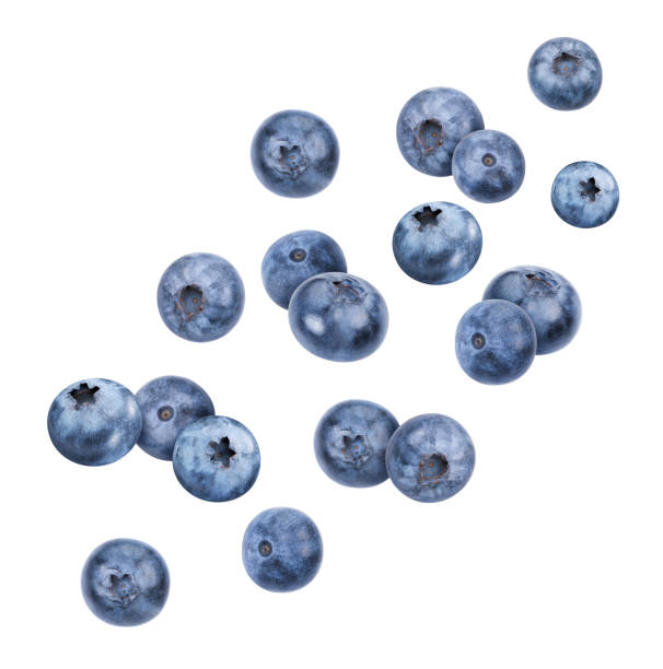 istock Blueberry with clipping path isolated on a white 2093511078