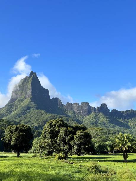 istock View on countryside and moutains, Moorea, French Polynesia 2093514219