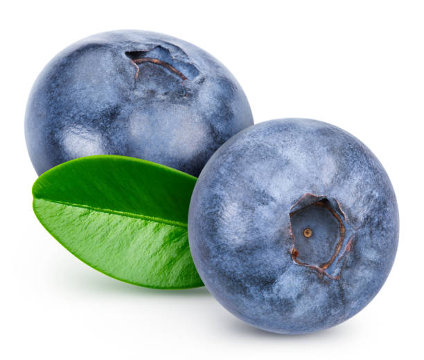 istock Organic fresh blueberry isolated on white 2093523130