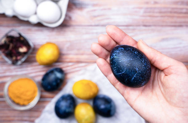 istock Woman's hand hold blue Easter egg. Coloring eggs for Easter with natural food coloring turmeric and hibiscus tea at home. Close-up. Top view. 2093524715