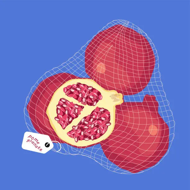 Vector illustration of Grocery supermarket, pomegranate fruit, design element
