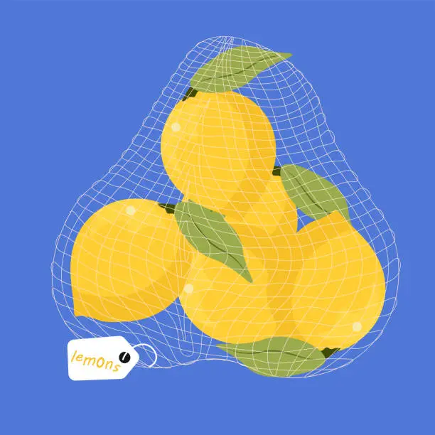 Vector illustration of Grocery supermarket, lemons, limes, design element