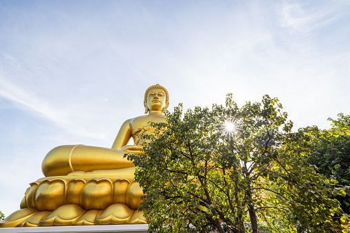 Golden Buddha statue on pink lotus on  blurred golden bokeh background