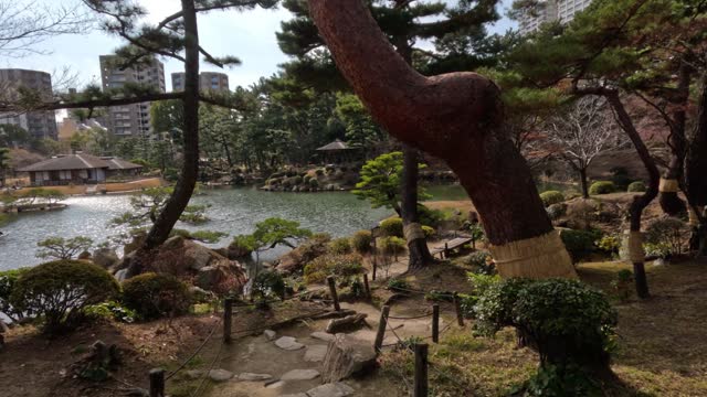 Tranquil Japanese Garden Panorama