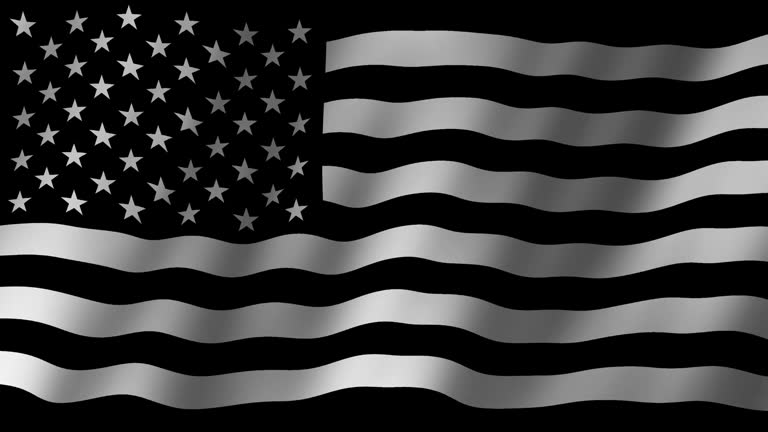 Flag of the United States (black and white). Flag of Flag of the United States footage video waving in wind. 4K Animation