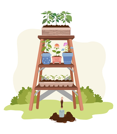 Upcycled wooden ladder garden display. Greenhouse plants, orangery or floristic store interior stuff, garden rack with potted flowers. Garden composition, seedlings, shovel, soil. Vector Illustration