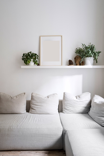 Interior of living room, comfort sofa with soft cushions, wall shelf with potted green plants, statuette and picture in frame with empty space. Scandinavian style. Idea of home decor