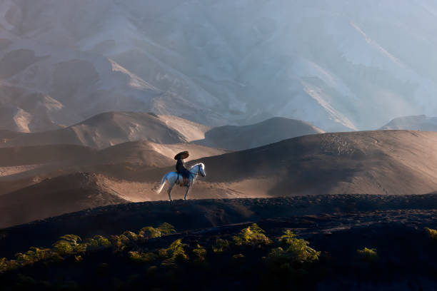 The silhouette of a cowboy on horseback at sunset on a background