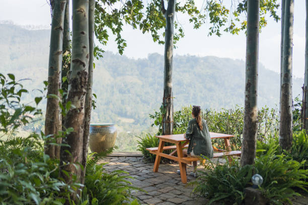 An space selected focus a wood desk at counter on terrace with background on mountain in the forest is natural landscape on the day relax freedom on vacation.
