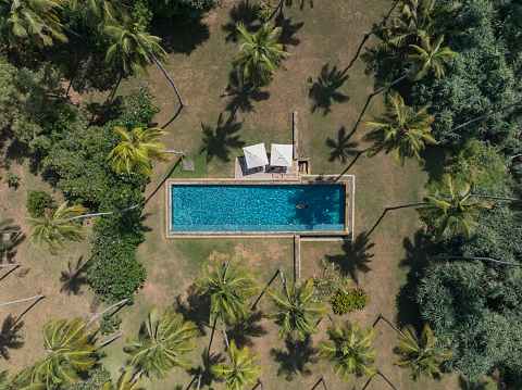 Aerial view of woman floating in outdoor swimming pool and palm trees