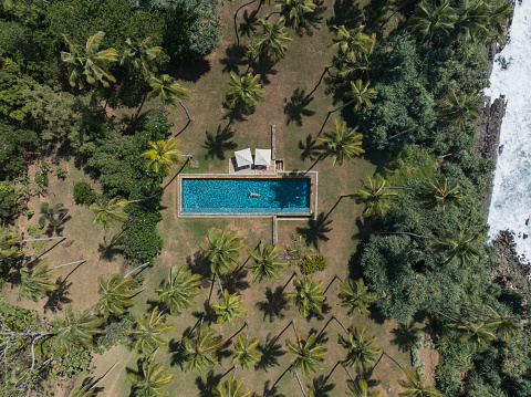 Aerial view of woman floating in outdoor swimming pool and palm trees