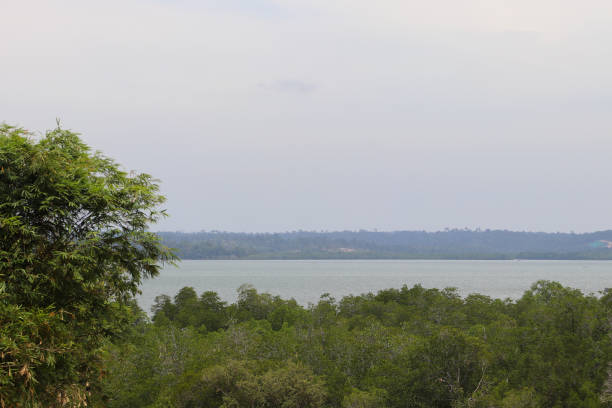istock Landscape,views, bay waters, mangrove trees 2093722595