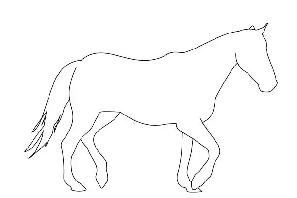 Vector illustration of vector illustration of a black silhouette of a horse isolated on a white background. The theme of equestrian sports, animal husbandry and veterinary medicine