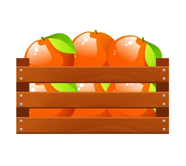 Vector illustration of Oranges in a wooden box. Vector illustration isolated on white background.