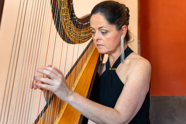 istock Harp player during a classical concert music 2093816701