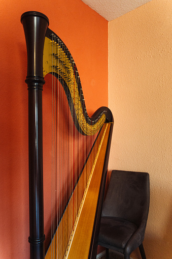 Traditional harp for symphonic concerts