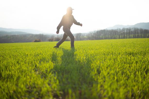 istock Farmer in agricultural field at sunset, copy space. 2093892805