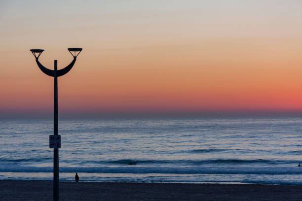 maroubra beach, (bedegal) sydney, nsw, australien - maroubra beach stock-fotos und bilder