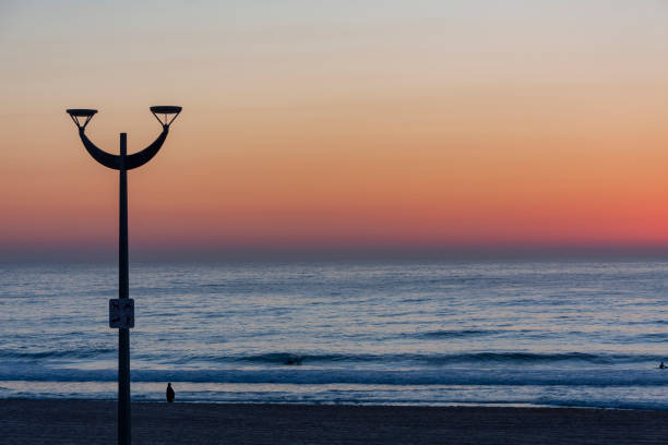 plaża maroubra, (bedegal) sydney, nowa południowa walia, australia - maroubra beach zdjęcia i obrazy z banku zdjęć
